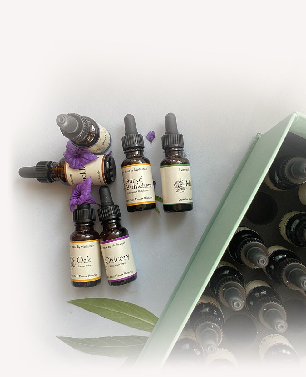 Consultation Bach Flower Remedies with Khurshed Batliwala